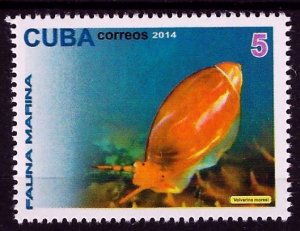 CUBA Sc# 5569  MARINE LIFE   fish   5c  2014  MNH mint