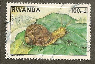 Rwanda      Scott  1386       Snail, Fauna      Used