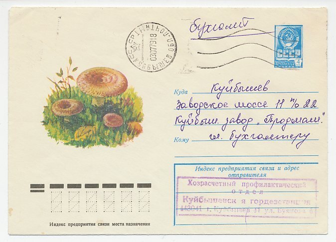 Postal stationery Soviet Union 1977 Mushroom