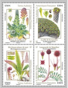 FSAT Scott #658 Flowers on Kerguelon S/S MNH