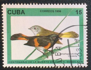 CUBA Sc# 3732  JUAN GUNDLACH BIRDS 15c   1996  used cto