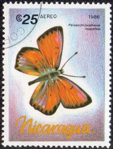 Nicaragua 1572 - Cto - 25cor Purple-edged Copper Butterfly (1986) (cv $0.60)