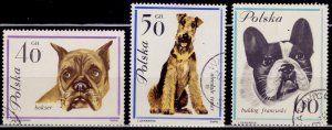 Poland, 1963, Domestic Dogs, used