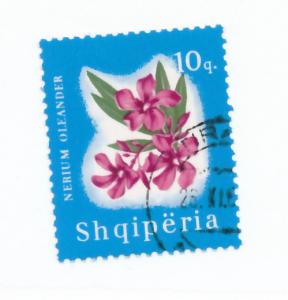 Albania 1965 - Scott 862 CTO - 10q, oleander Flower
