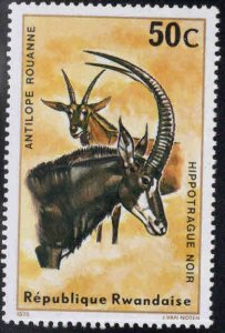 RWANDA Scott 616 Unused wildlife stamp