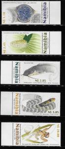 Namibia 2003 Recent Biological Discoveries MNH A635