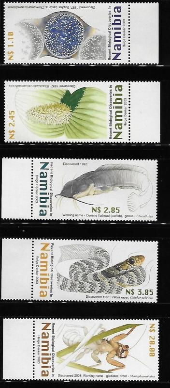 Namibia 2003 Recent Biological Discoveries MNH A635