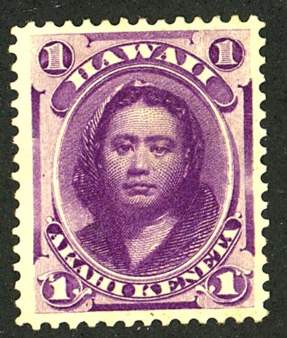 HAWAII #30 MINT NG