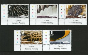 South Georgia & Sandwich Islands 2019 MNH Habitats Restored 6v Set Birds Stamps