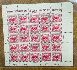 US # 630 1926 White Plains Souvenir sheet  VF Never Hinged well centered