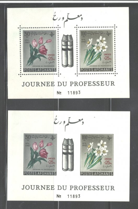 AFGHANISTAN 1961 #548 M.S's Perf & Imper.. MNH TEACHER's DAY