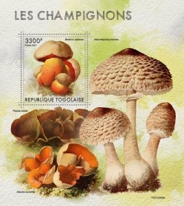 Togo - 2021 Satan's Bolete Mushroom - Stamp Souvenir Sheet - TG210305b