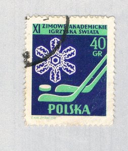 Poland Flower blue 40gr (AP135301)