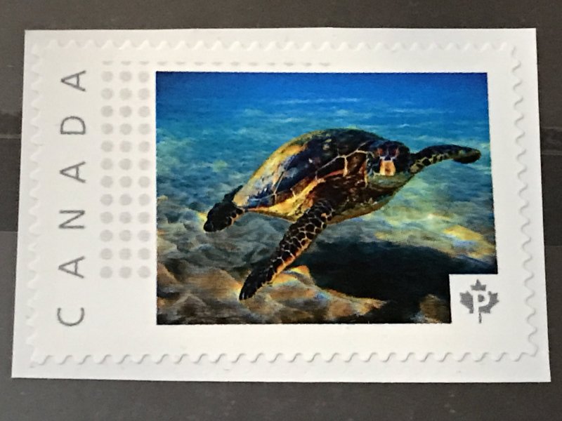 Canada Post Picture Postage Mint NH *Turtle Swimming*  *P* denomination