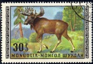 Moose, Mongolia stamp SC#566 used