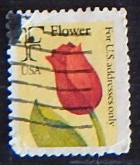 USA, Flowers, (№1557-Т)