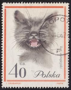 Poland 1217 European Cats 1964