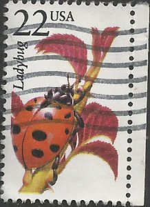 # 2315 USED LADYBUG