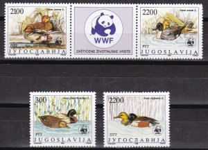 Yugoslavia, Fauna, WWF, Birds MNH / 1989