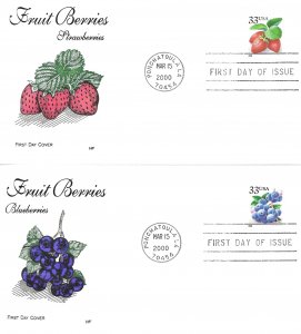 2000 FDC, #3404-3407, 33c Fruit Berries, House of Farnam (4)