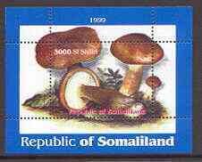 SOMALILAND - 1999 - Fungi - Perf Min Sheet - M N H - Private Issue