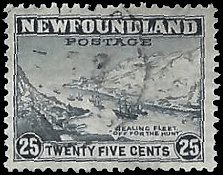 NEWFOUNDLAND   #265 USED (1)