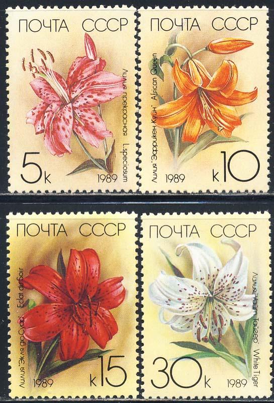 Russia 1989 Sc 5757-60 Cultivated Lilies Flora Stamp MNH