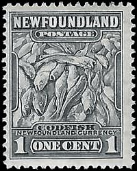 NEWFOUNDLAND   #253 MNH (7)