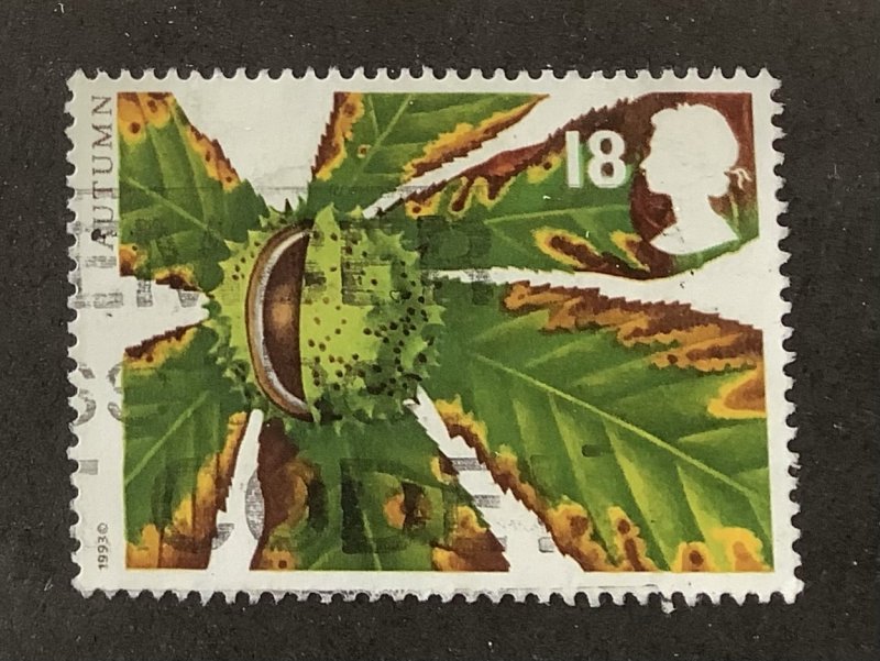 Great Britain 1993 Scott 1510 used - 18p, Autumn Fruits, Horse Chestnut