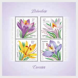 Romania / Roemenië - Postfris/MNH - Sheet Crocusses 2022