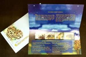 *FREE SHIP Malaysia Nocturnal Animals 2008 Bat Wildlife Wild Cat (p.pack) MNH