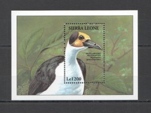 B0568 Sierra Leone Birds White-Necked Picathartes Fauna Bl Mnh