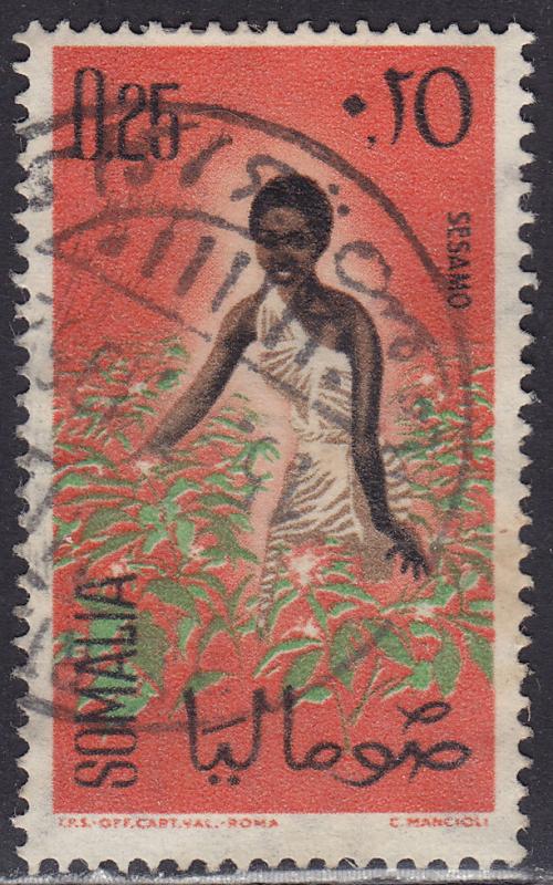 Somalia 253 USED 1961 Sesame