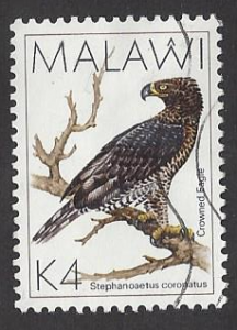 Malawi #532 used single, crowned eagle, issued 1988