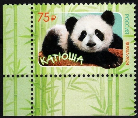 RUSSIA 2024-63 FAUNA: Diplomatic Relations with China - 75. Panda. Corner, MNH