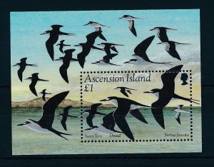 [31048] Ascension  Birds Oiseaux�Uccelli  Souvenir Sheet MNH