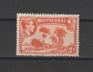 MONTSERRAT 1938/48 SG 104 MINT Cat £25