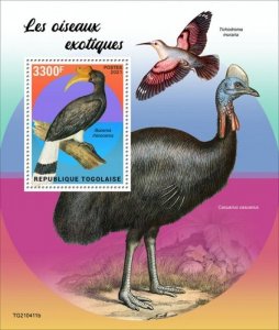 Togo - 2021 Exotic Birds, Rhinoceros Hornbill - Stamp Souvenir Sheet - TG210411b