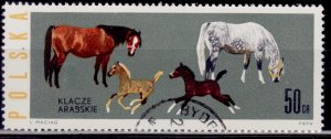 Poland 1963, Arabian Horses, 50gr, cancelled