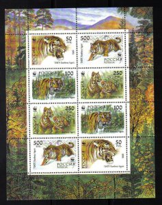 Russia  #6178-6181b  MNH  1993  The Tiger  WWF  sheet