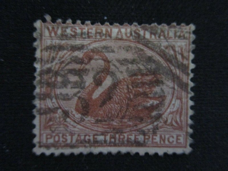 Western Australia #40 Used WDWPhilatelic (H5K8) 