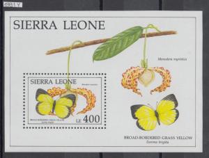 XG-AI640 SIERRA LEONE IND - Butterflies, 1991 Flowers, Orchids, Nature MNH Sheet