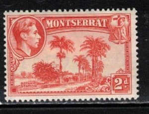 MONTSERRAT Scott # 95a MH - KGVI & Botanic Station