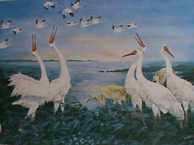 ​China Stamp:-Chin Stamp Agency Official Gift  sheet From China Stamps Agency