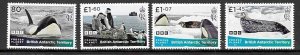 BRITISH ANTARCTIC TERR. 2022 FROZEN PLANET 11 MNH