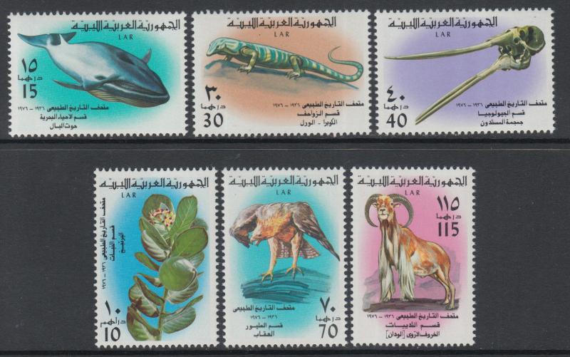 XG-P292 LIBYA - Wild Animals, 1976 Natural History Museum, Birds MNH Set