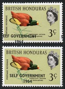 British Honduras SG218 3c with Self Government 1964 Overprint MISPLACED U/M