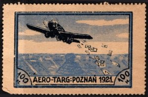 1921 Poland Poster Stamp 100 Marks Aero-Targ Company Semi Postal Unused