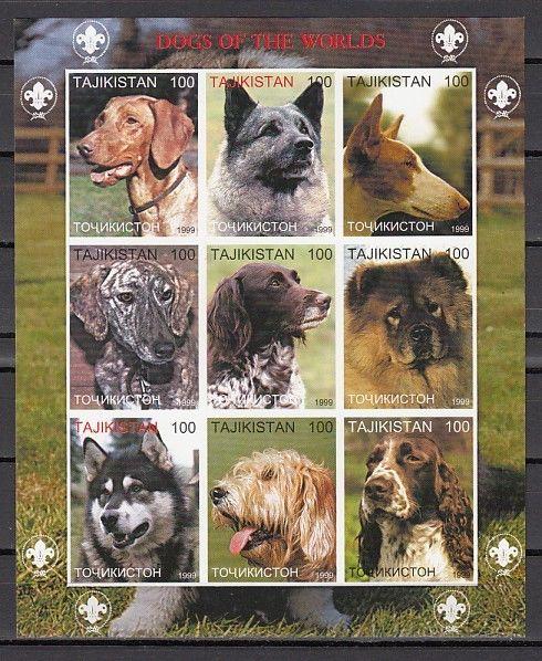 Tadjikistan, 1999 Russische Lokal Ausgabe Dogs Of The World, Imperf Blatt Of 9