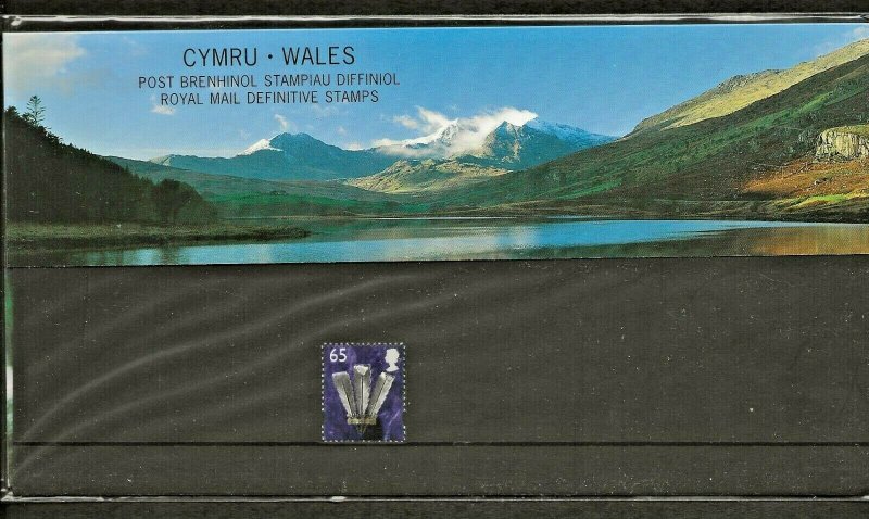 2000 CYMRU-WALES COUNTRY DEFINITIVE PRESENTATION PACK -,65p  PACK 51